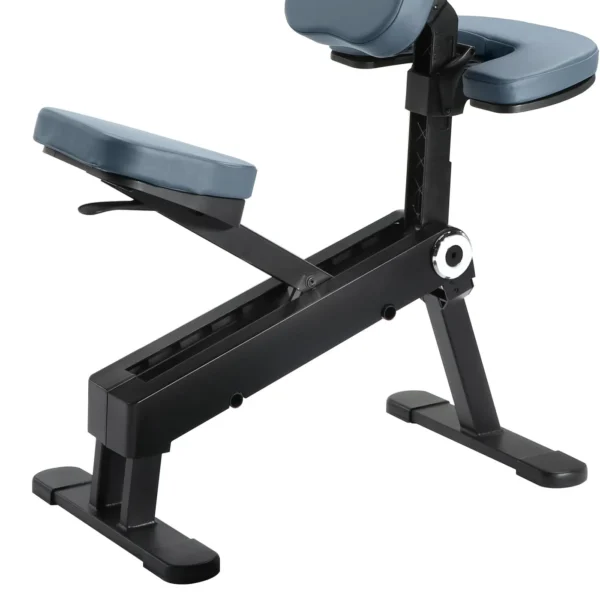 Master Massage Gymlane Portable Massage Chair Royal Blue