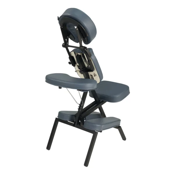 Master Massage PROFESSIONAL Portable Massage Chair Package